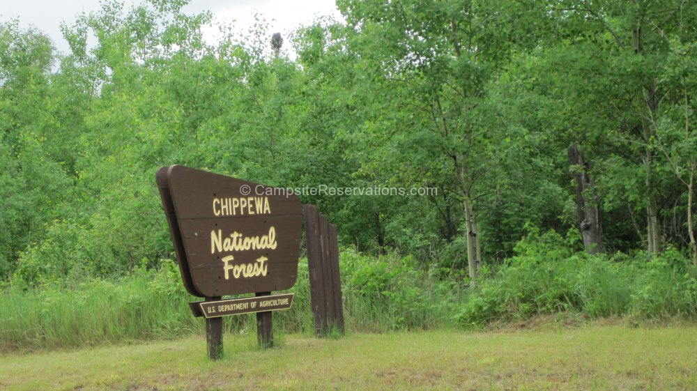 Chippewa National Forest Minnesota United States